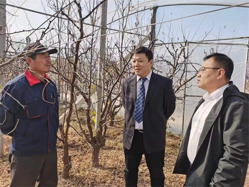 惠灌金融活水 滋养一方热土｜“滨州金融电竞竞猜官网智慧”增色“山东实践”(图2)