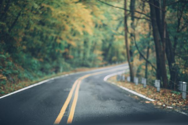 怎么投资绿化贷(上班族理财需要注意哪些)(图1)